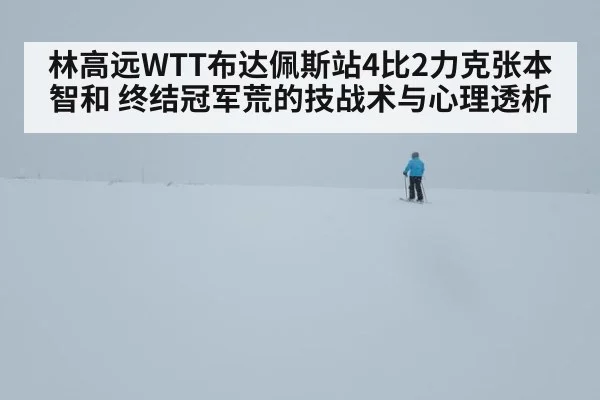 林高远WTT布达佩斯站4比2力克张本智和 终结冠军荒的技战术与心理透析